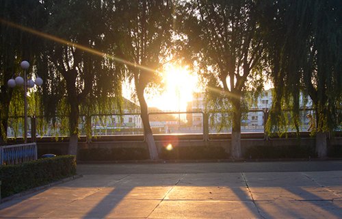 绥芬河经贸翻译职业学校图片