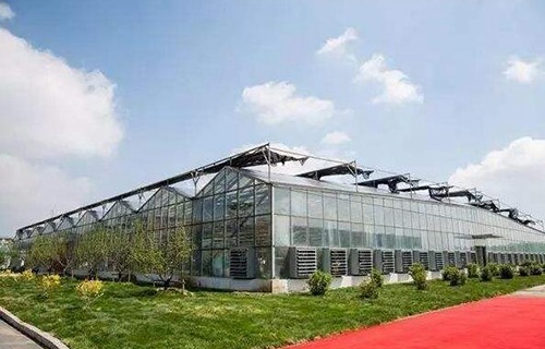 丽江市农业学校图片