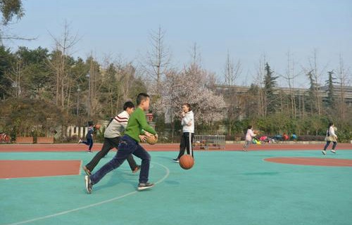 丽江市少年业余体育学校图片