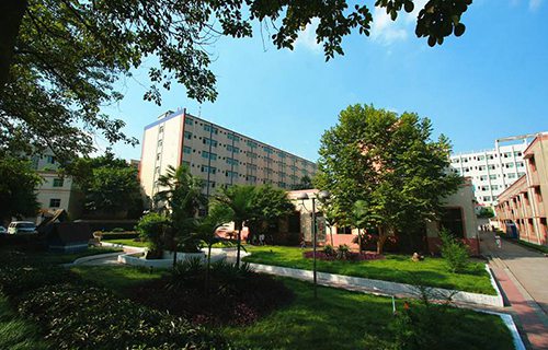 广西八一铁合金（集团）有限责任公司技工学校图片