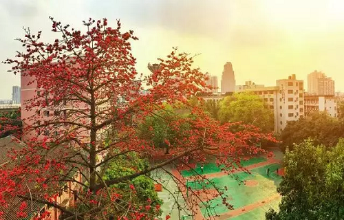 广东省商业职业技术学校图片