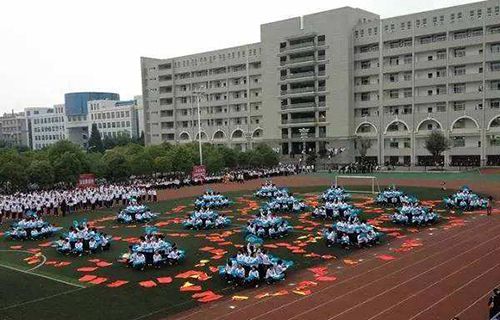 林口县职业教育中心学校图片