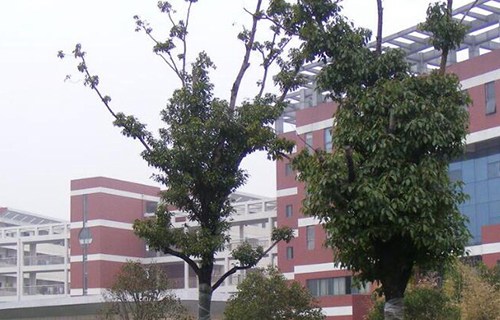 无锡卫校
