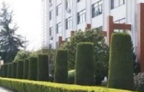 临海豪情汽车工业学校图片