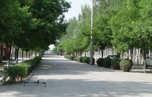 滕州市第二职业高中图片