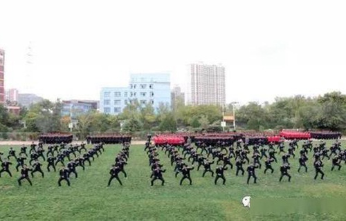 滕州市技工学校图片