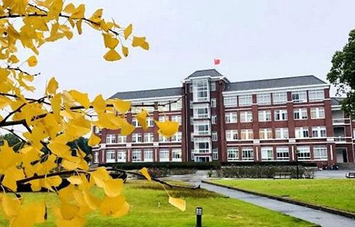 绥滨县职业技术教育中心学校图片