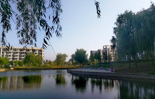 合肥科技职业学校图片