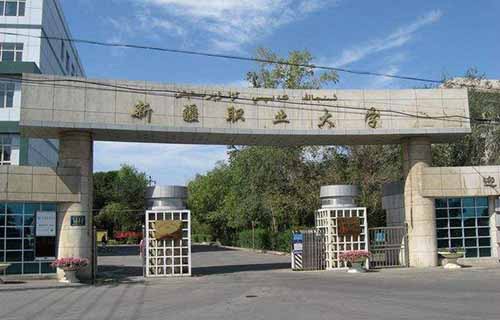 新疆职业大学图片