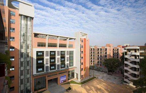 宁陕县四亩地镇职业学校图片