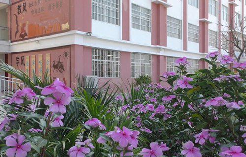 元江县职业高级中学图片