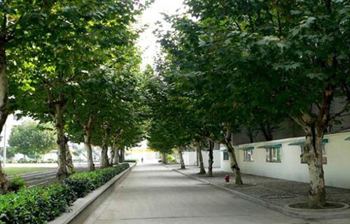 南京旅游营养中等专业学校图片