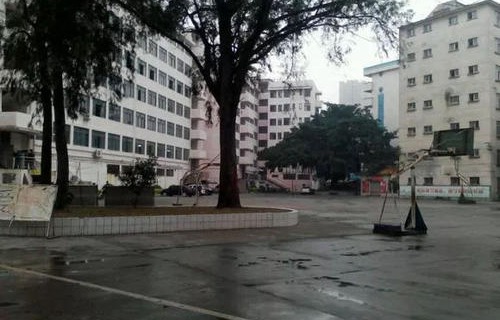 广西南宁高级技工学校（南宁医药技工学校）图片