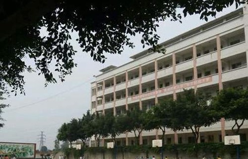 通海县职业中学图片