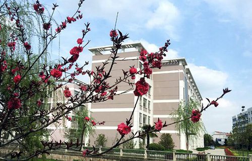江苏戏剧学校图片