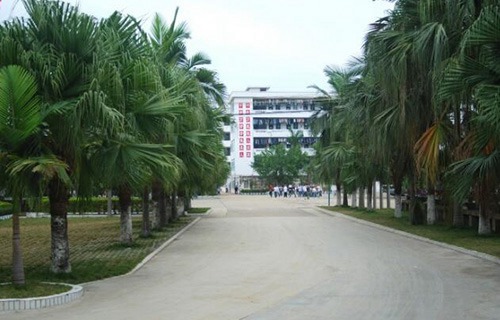 上林县职业技术学校图片