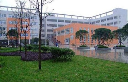 华坪县荣将镇职业初中图片