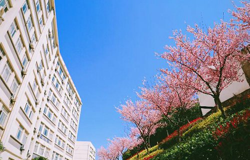 江苏南京工程高等职业学校图片