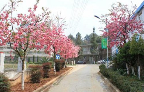 云南省化工高级技工学校图片