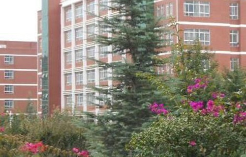 柳州市百花文艺学校图片