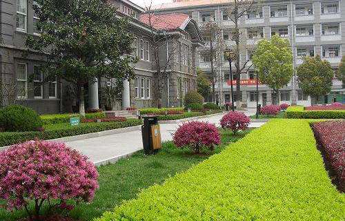 南京幼儿高等师范学校图片