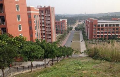 柳州财经学校图片