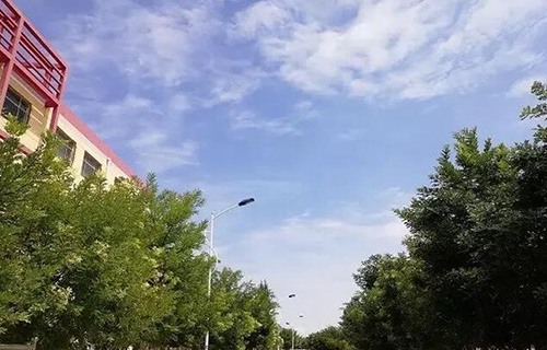 定边县职业教育中心图片