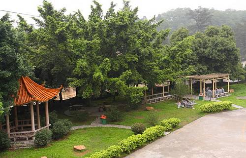 广州市公用事业高级技工学校图片
