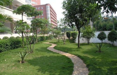 永康卫生学校图片