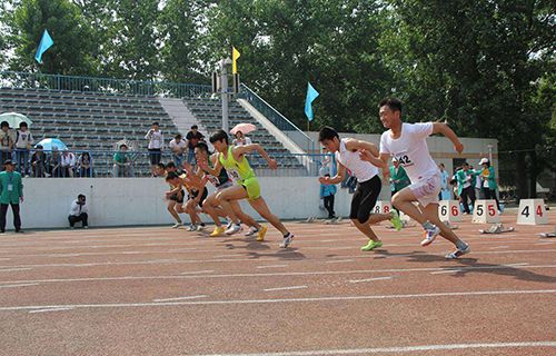 杭州陈经论体育学校图片