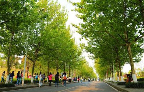 柳州制剂医药技工学校图片