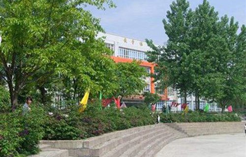 西双版纳州卫生学校图片