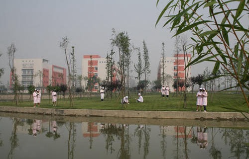 西双版纳州卫生学校图片