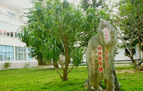 西双版纳职业技术学校图片