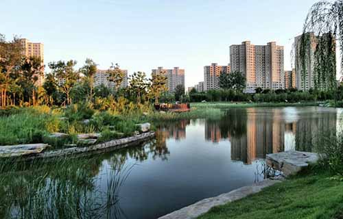 东营市高级技工学校图片