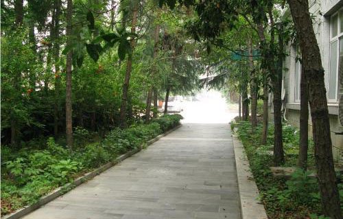 建德千岛交通职业学校图片