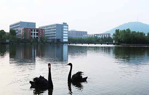 安徽新华学校图片