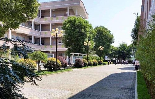龙湾区职业技术学校教育集团图片