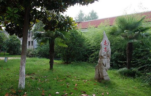 南京浦口中等专业学校图片