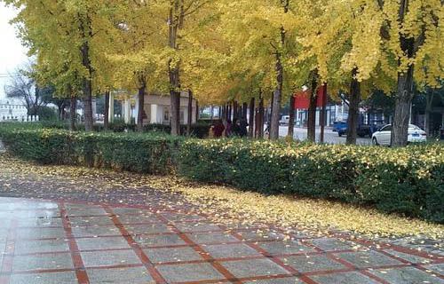 柳州市机械工业技工学校图片