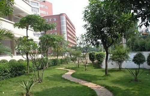 绿春县民族职业高级中学图片