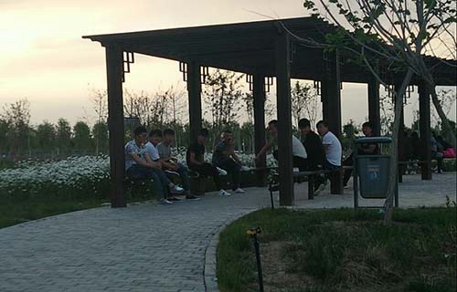 大庆石油管理局卫生学校图片