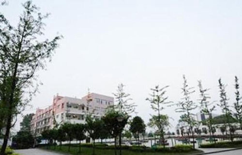 弥勒县弥东乡职业中学图片