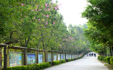 柳州长虹机器制造公司技工学校图片
