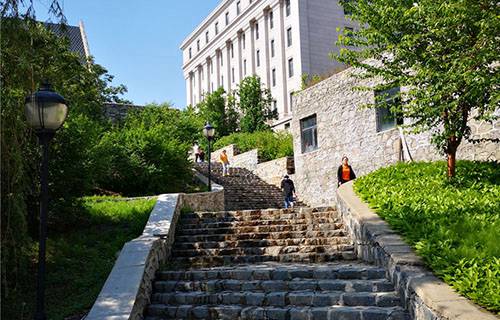 西和县西峪电脑学校图片