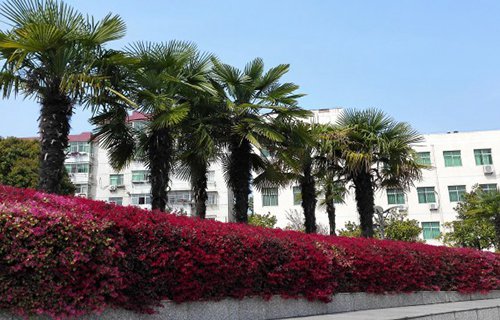 西和县西峪电脑学校图片