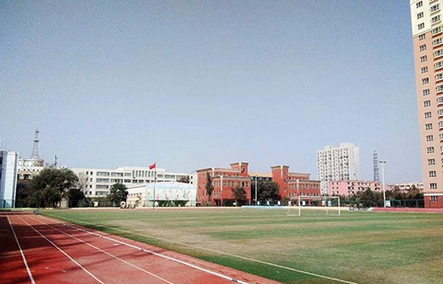 合作市职业中学图片