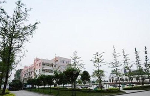 略阳县徐家坪职业中学图片