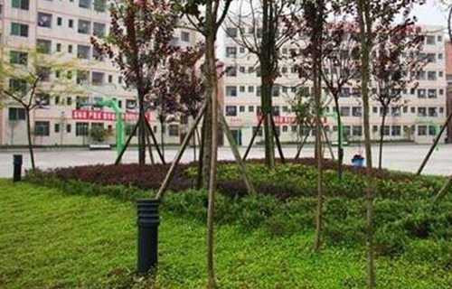 柳城县东泉职业中学图片