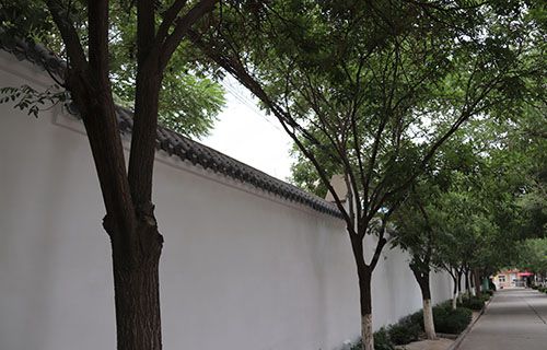 佳木斯市职业技术教育中心学校图片